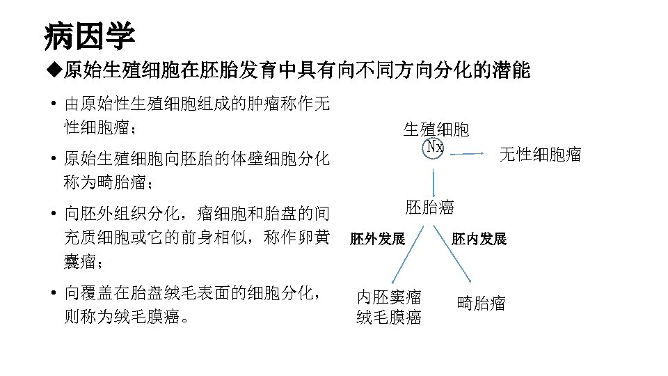 病因学 u原始生殖细胞在胚胎发育中具有向不同方向分化的潜能 • 由原始性生殖细胞组成的肿瘤称作无 性细胞瘤； • 原始生殖细胞向胚胎的体壁细胞分化 称为畸胎瘤； • 向胚外组织分化，瘤细胞和胎盘的间 充质细胞或它的前身相似，称作卵黄 囊瘤； • 向覆盖在胎盘绒毛表面的细胞分化，