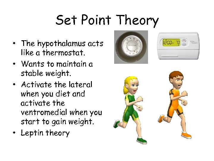 Set Point Theory • The hypothalamus acts like a thermostat. • Wants to maintain