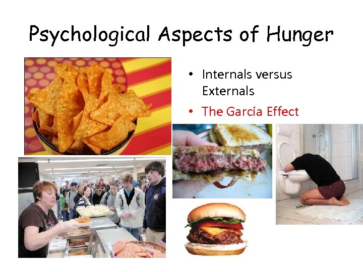 Psychological Aspects of Hunger • Internals versus Externals • The Garcia Effect 