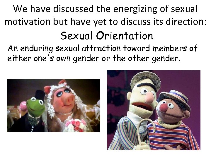 We have discussed the energizing of sexual motivation but have yet to discuss its