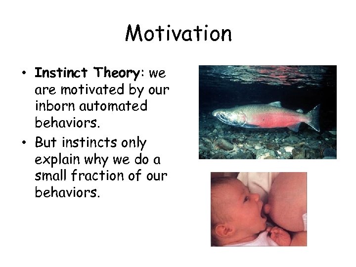 Motivation • Instinct Theory: we are motivated by our inborn automated behaviors. • But