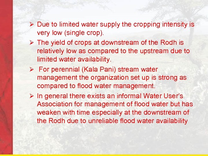 Ø Due to limited water supply the cropping intensity is very low (single crop).