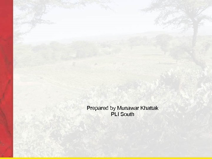 Prepared by Munawar Khattak PLI South 
