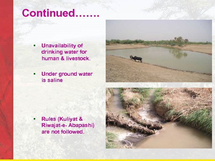 Continued……. § Unavailability of drinking water for human & livestock. § Under ground water