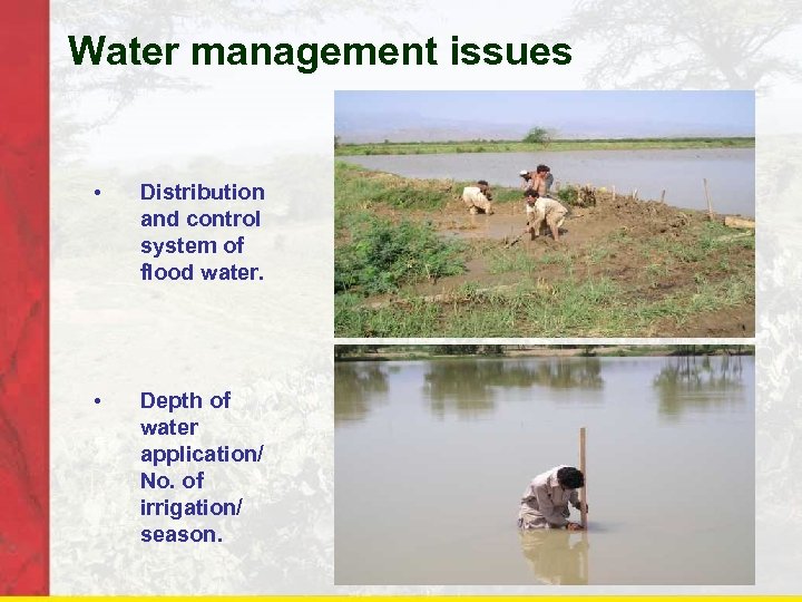 Water management issues • Distribution and control system of flood water. • Depth of