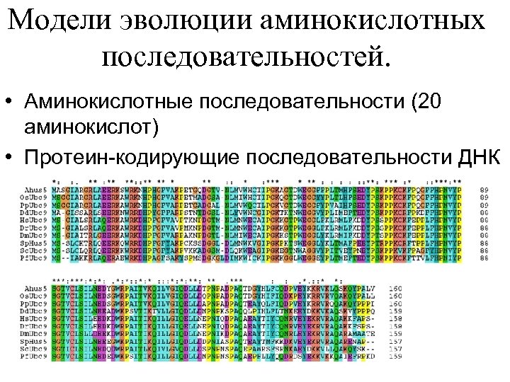 Матрица аминокислотных замен рам 250