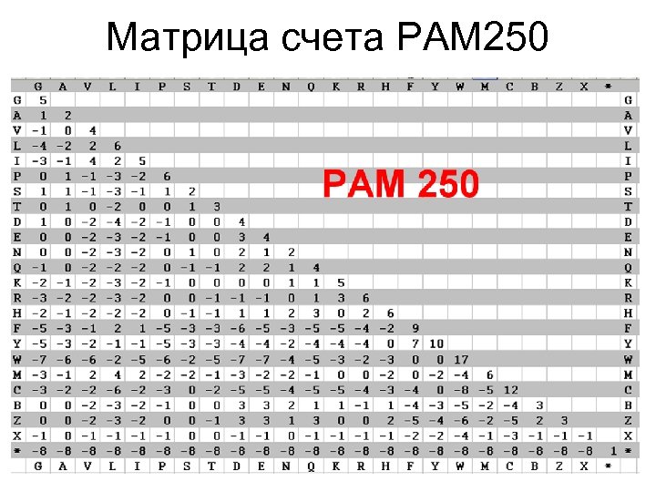 Матрица счета PAM 250 