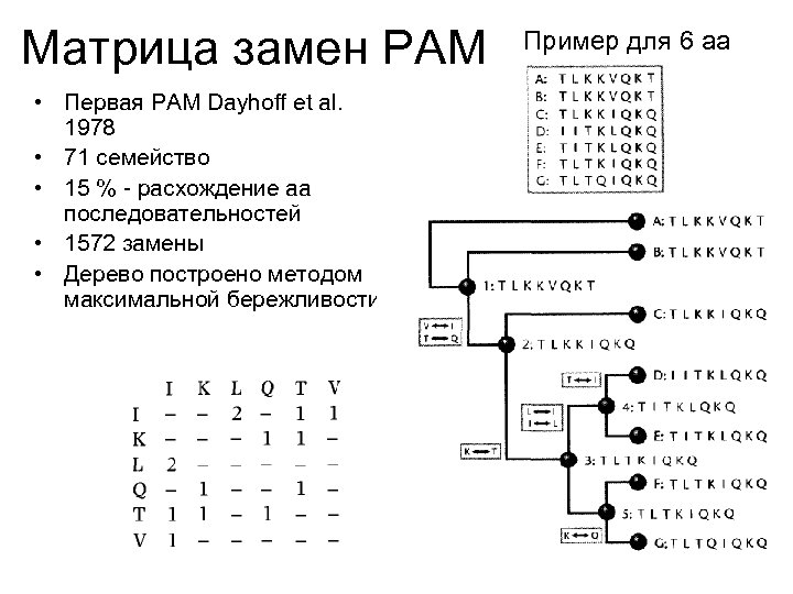 Матрица замен PAM • Первая PAM Dayhoff et al. 1978 • 71 семейство •