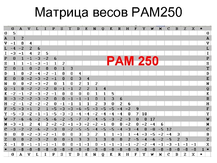 Матрица весов PAM 250 