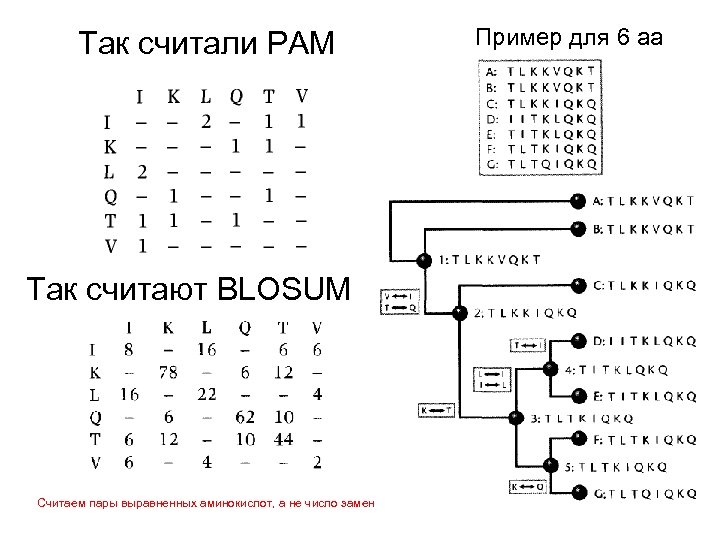 Так считали PAM Так считают BLOSUM Считаем пары выравненных аминокислот, а не число замен