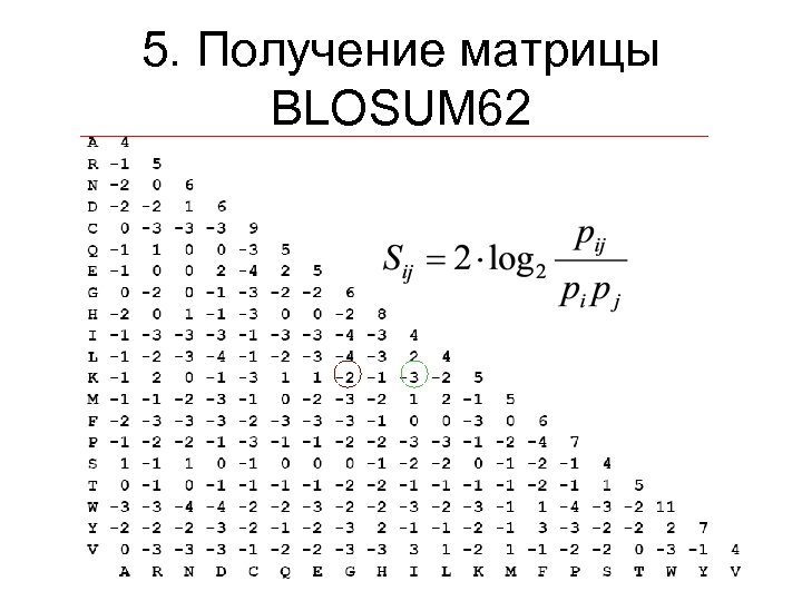 Матрица аминокислотных замен рам 250