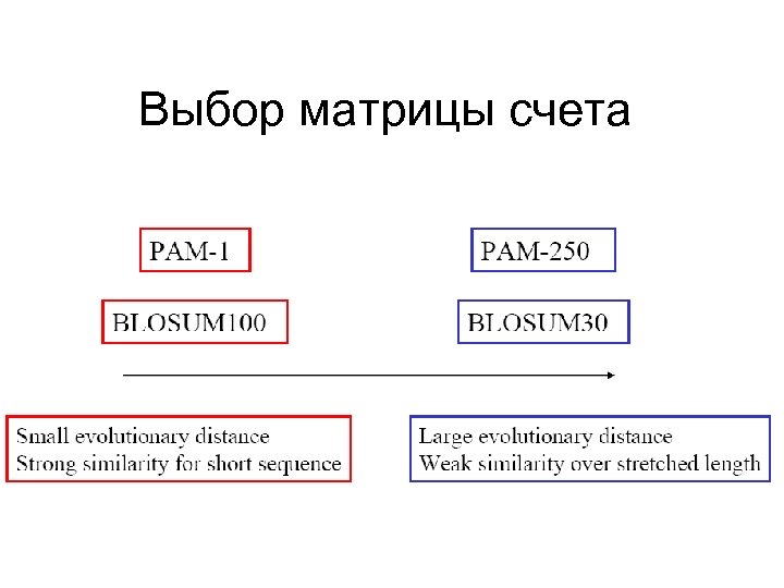 Выбор матрицы счета 