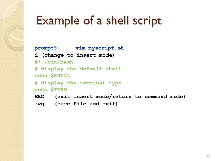 Example of a shell script prompt% vim myscript. sh i (change to insert mode)