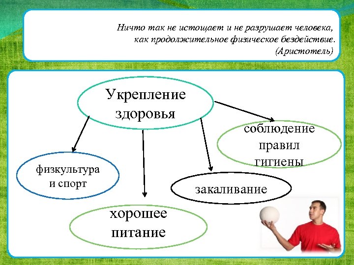 как Ничто так не истощает и не разрушает человека, как продолжительное физическое бездействие. (Аристотель)