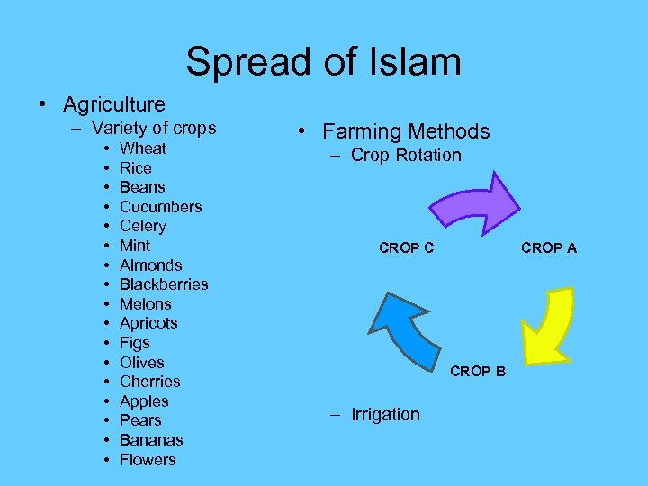 Spread of Islam • Agriculture – Variety of crops • • • • •