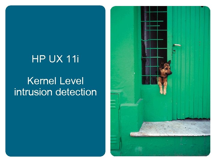 HP UX 11 i Kernel Level intrusion detection 