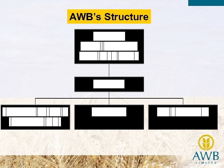 AWB’s Structure 