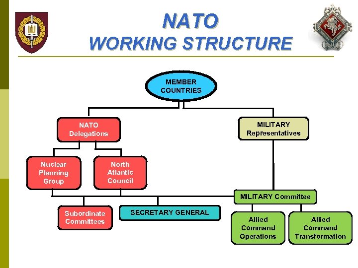 NATO WORKING STRUCTURE MEMBER COUNTRIES MILITARY Representatives NATO Delegations Nuclear Planning Group North Atlantic