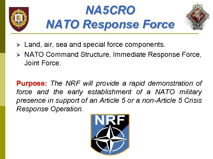 NA 5 CRO NATO Response Force Ø Ø Land, air, sea and special force