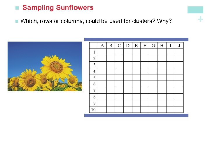 n Which, rows or columns, could be used for clusters? Why? + n Sampling