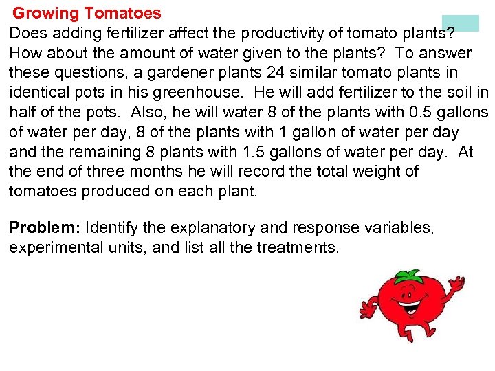  Growing Tomatoes Does adding fertilizer affect the productivity of tomato plants? How about