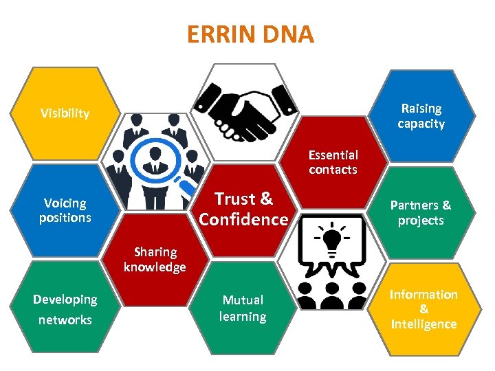 ERRIN DNA Raising capacity Visibility Essential contacts Trust & Confidence Voicing positions Partners &