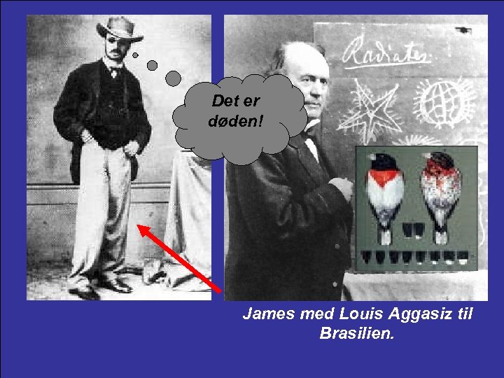 Det er døden! James med Louis Aggasiz til Brasilien. 
