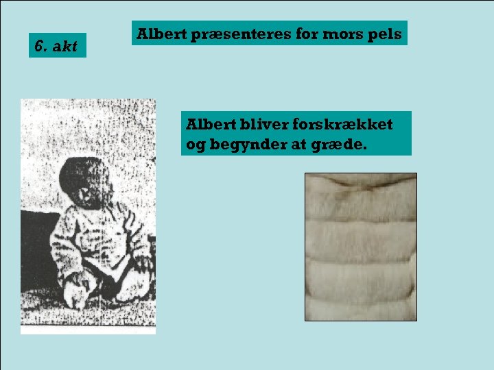 6. akt Albert præsenteres for mors pels Albert bliver forskrækket og begynder at græde.