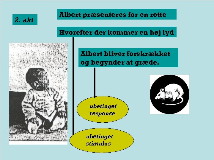 2. akt Albert præsenteres for en rotte Hvorefter der kommer en høj lyd Albert