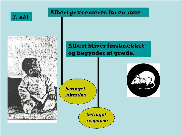 3. akt Albert præsenteres for en rotte Albert bliver forskrækket og begynder at græde.