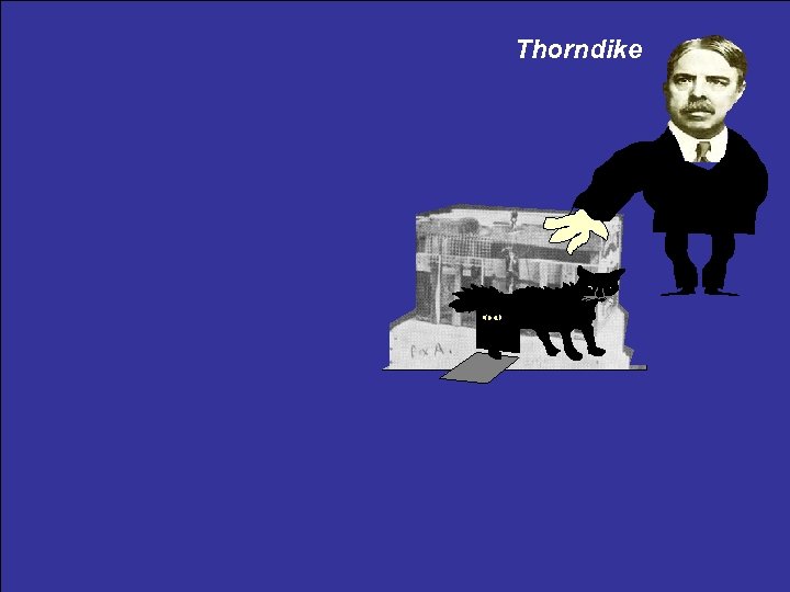 Thorndike 