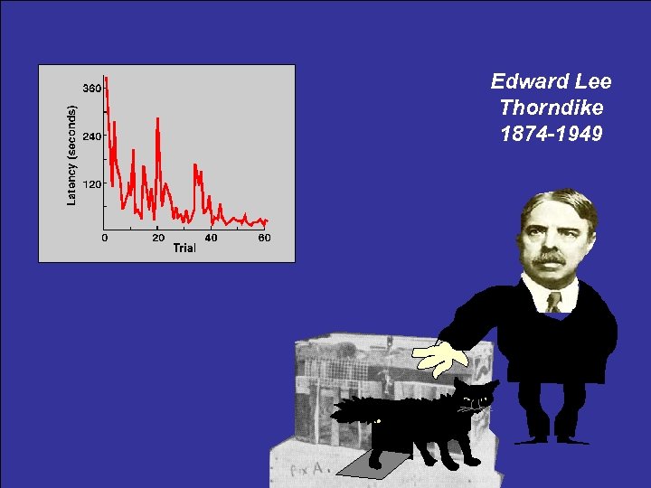Edward Lee Thorndike 1874 -1949 