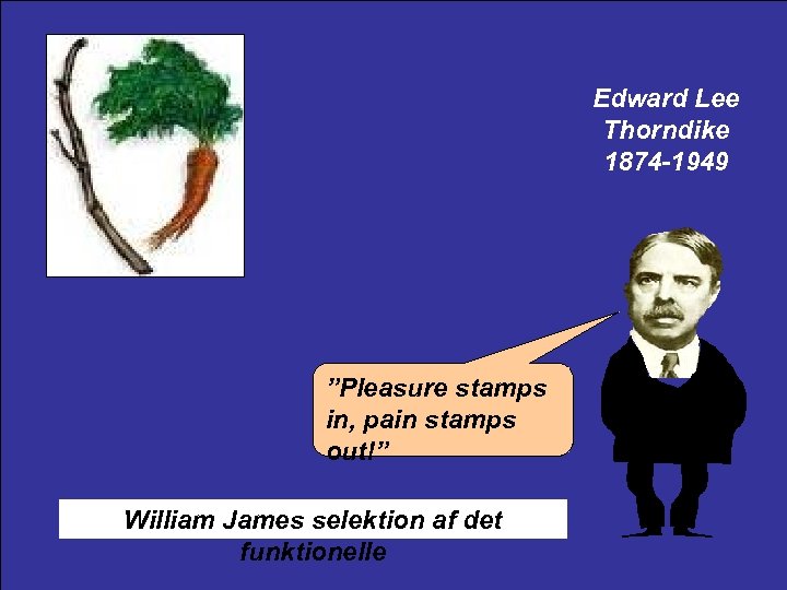 Edward Lee Thorndike 1874 -1949 ”Pleasure stamps in, pain stamps out!” William James selektion