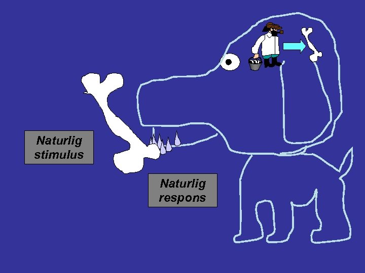 Naturlig stimulus Naturlig respons 
