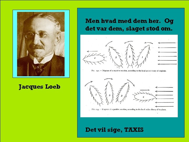 Men hvad med dem her. Og det var dem, slaget stod om. Jacques Loeb