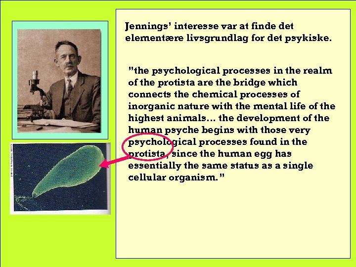 Jennings’ interesse var at finde det elementære livsgrundlag for det psykiske. ”the psychological processes