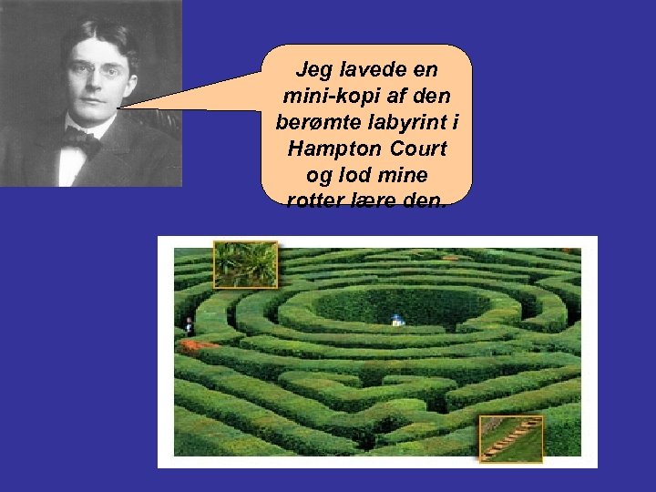 Jeg lavede en mini-kopi af den berømte labyrint i Hampton Court og lod mine
