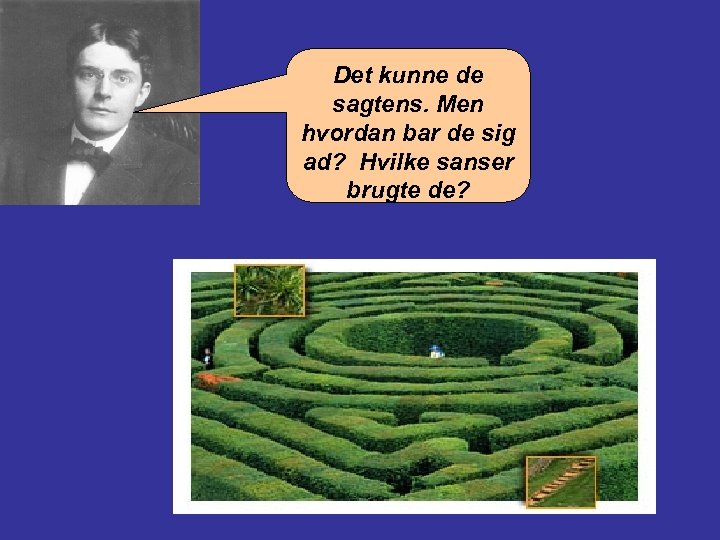 Det kunne de sagtens. Men hvordan bar de sig ad? Hvilke sanser brugte de?