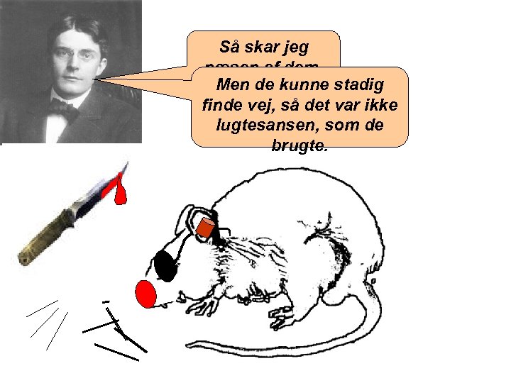 Så skar jeg næsen af dem. Men de kunne stadig finde vej, så det