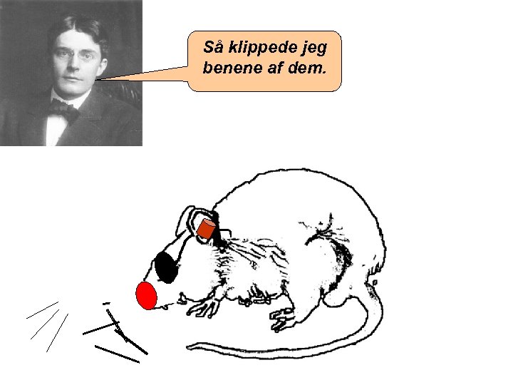 Så klippede jeg benene af dem. 