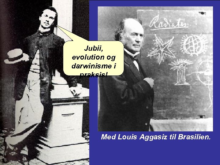 Jubii, evolution og darwinisme i praksis! Med Louis Aggasiz til Brasilien. 