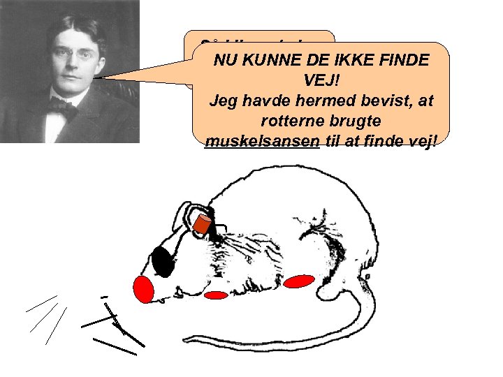 Så klippede jeg NU KUNNE DE benene af dem. IKKE FINDE VEJ! Jeg havde