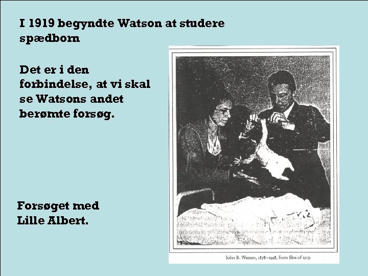 I 1919 begyndte Watson at studere spædborn Det er i den forbindelse, at vi