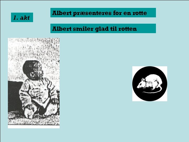 1. akt Albert præsenteres for en rotte Albert smiler glad til rotten 