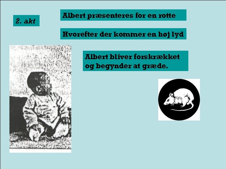 2. akt Albert præsenteres for en rotte Hvorefter der kommer en høj lyd Albert