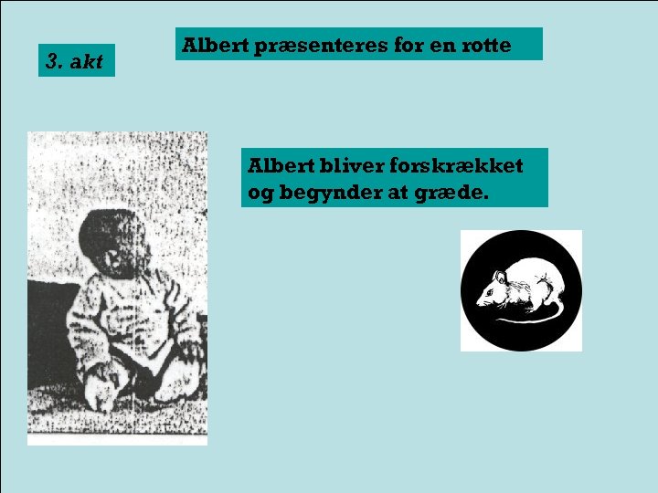 3. akt Albert præsenteres for en rotte Albert bliver forskrækket og begynder at græde.