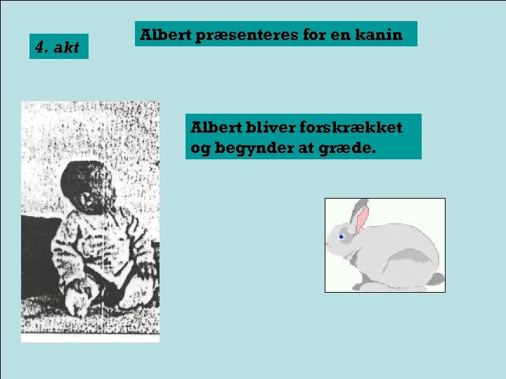 4. akt Albert præsenteres for en kanin Albert bliver forskrækket og begynder at græde.