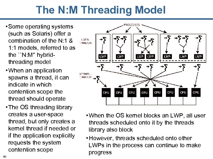The N: M Threading Model • Some operating systems (such as Solaris) offer a