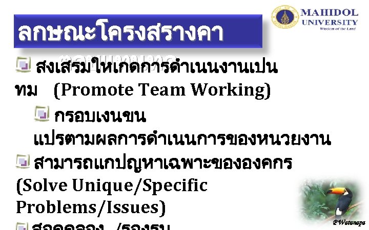 ลกษณะโครงสรางคา ตอบแทนทด สงเสรมใหเกดการดำเนนงานเปน ทม (Promote Team Working) กรอบเงนขน แปรตามผลการดำเนนการของหนวยงาน สามารถแกปญหาเฉพาะขององคกร (Solve Unique/Specific Problems/Issues) P
