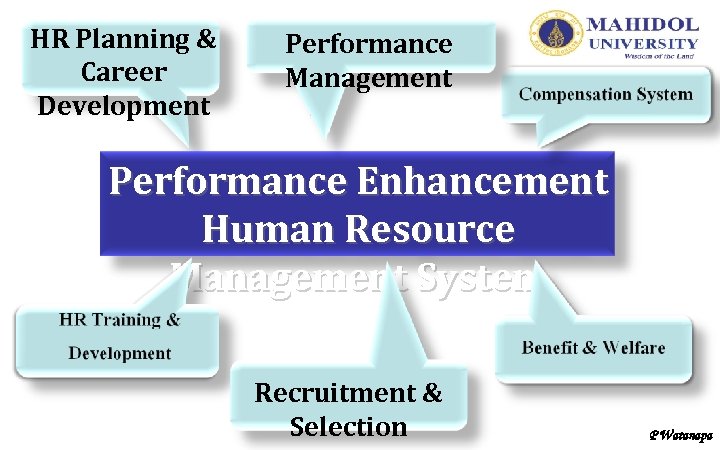 HR Planning & Career Development Performance Management Performance Enhancement Human Resource Management System Recruitment